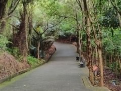 -滴水岩森林公园