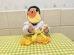 -小米乐儿童之家