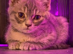 -VIKING SALOON西部美式烟熏烤肉(和平路店)