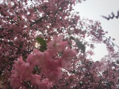 -汇泉广场