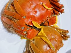 -阳澄湖费尔蒙酒店颐丰阁中餐厅(马鞍山西路店)