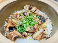 -红星光发煲仔饭(文海店)