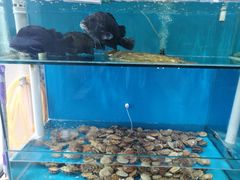 -港畔赶海蒸汽海鲜烧烤自助(仙螺岛店)