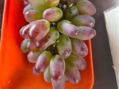 -马陆小张葡萄园农家乐