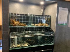 -江户前日本料理(瑞诗酒店店)