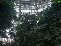 -郑州植物园