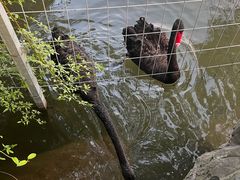 -上海怡沁园度假酒店