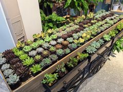 -花开餐厅(环湖中路店)
