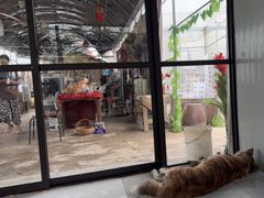 -马陆小张葡萄园农家乐