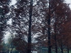 -贵阳市花溪国家城市湿地公园