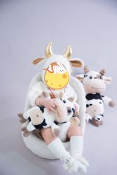 -蜜阁孕味亲子摄影(赛高店)