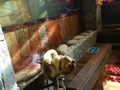 android_upload_pic-北京美神宫艺术主题温泉酒店