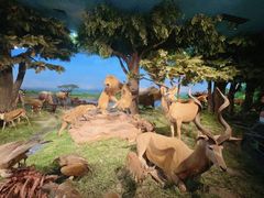 -国家自然博物馆