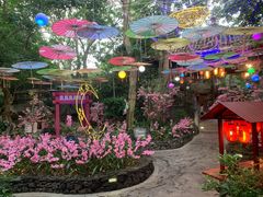 -海口观澜湖火山温泉谷