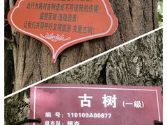 -潭柘寺景区