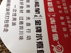 -雲蜀龙阁·金牌水煮鱼(方庄店)