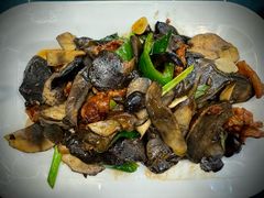 黑蘑菇炒肉-乡村馕坑肉·烧烤·新疆菜·本地人更爱吃(阿勒泰首店)