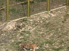 -青藏高原野生动物园