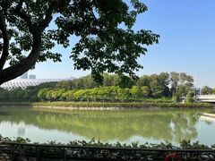 -深圳人才公园