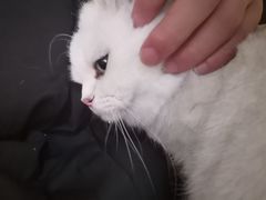 -青柠影咖·私人影院(龙泉店)