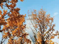 -两江幸福广场