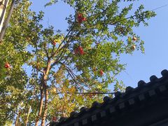 -庆丰包子铺(宣武门店)