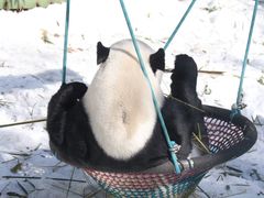 -栾川竹海野生动物园