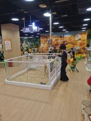 -IMON·HANSA潮玩玩偶毛绒玩具(通州万象汇店)