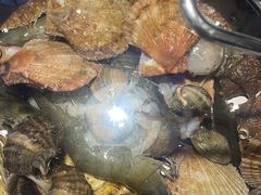 -大锅强·蒸海鲜青岛菜(金沙滩店)