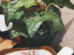 -火齐潮汕砂锅粥(五道口店)