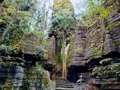 -梭布垭石林景区