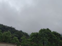 -花水湾第一村温泉大酒店