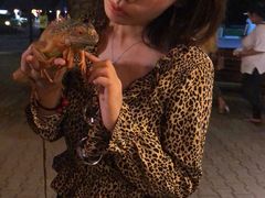 -清迈夜间动物园