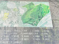 -白水寺森林公园