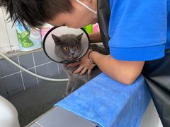 -宠颐生动物医院·心脏科·保险定点(锦阳分院)