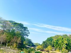 -东莞植物园