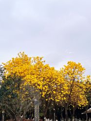 -番禺儿童公园