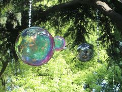 -上海共青森林公园