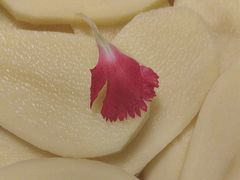 -重庆德庄火锅(映月湖环宇城店)