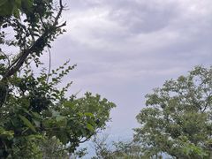 -紫金山山顶公园