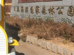 -日照海滨国家森林公园