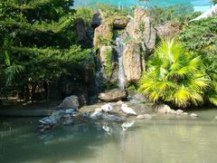 android_upload_pic-东部华侨城