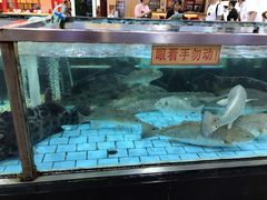 -渔民新村(番禺总店)