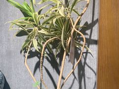 -陈熹公民族美食文化餐厅(中华广场店)