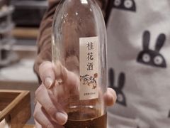 -猫里有甜
