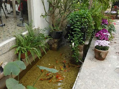 android_upload_pic-6号花园别墅酒店