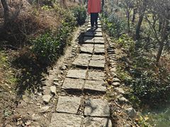 -四明山国家森林公园