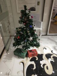 -Cocodemer产后恢复(杭大店)