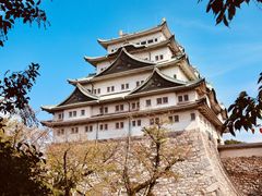 -名古屋城
