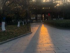 -堤角公园